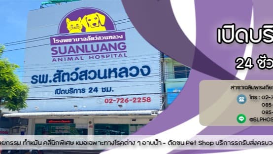 โรงพยาบาลสัตว์สวนหลวง สาขาถนนเฉลิมพระเกียรติ โรงพยาบาลสัตว์สวนหลวง สาขาถนนเฉลิมพระเกียรติ - คลินิกสัตว์ Veterinary Clinic ในกรุงเทพฯ